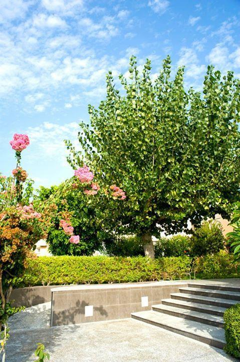 Alfa Hotel Apartments Gerani  Esterno foto